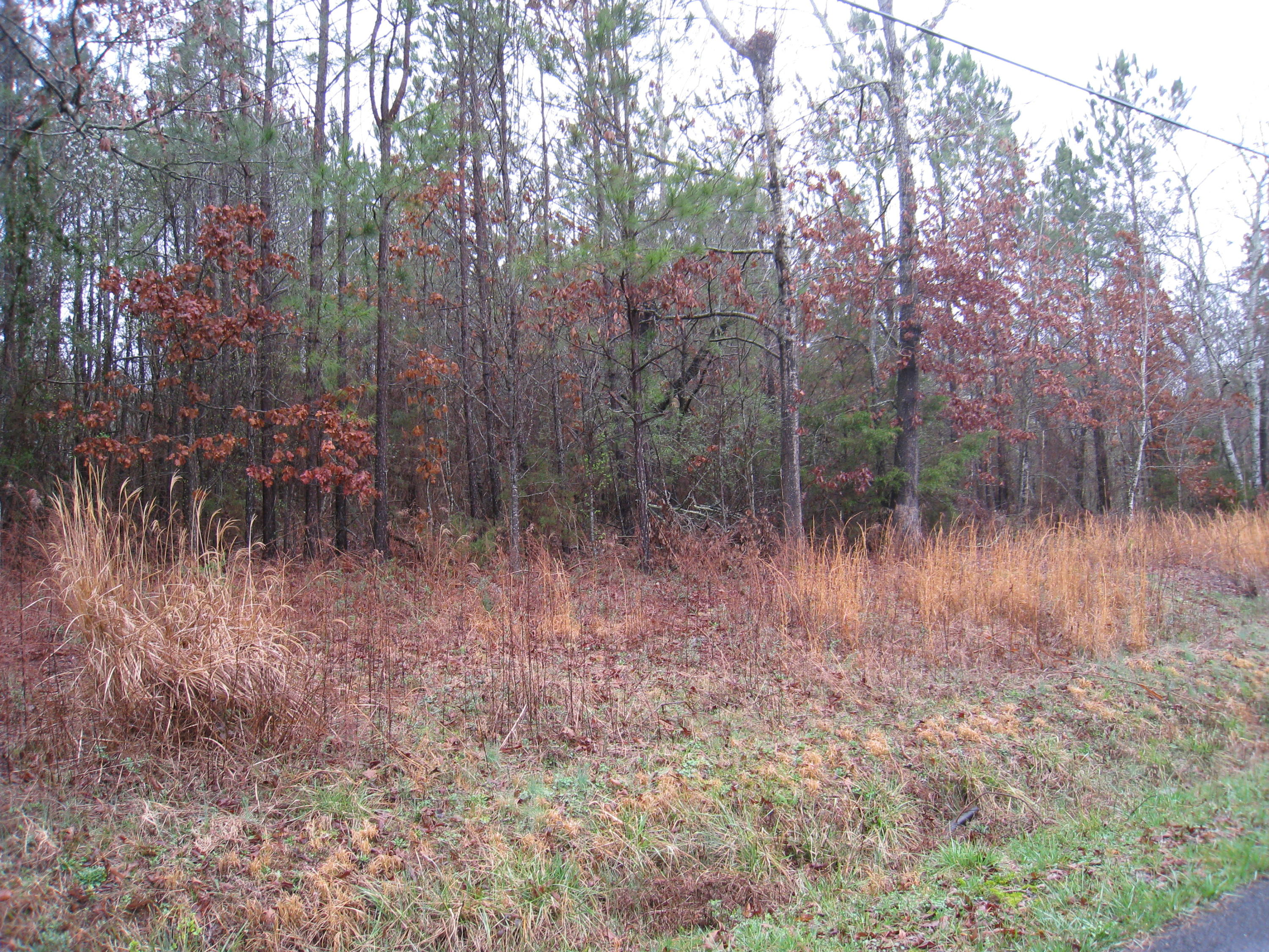 Lot 25 Lake Haven Decatur, TN 37322 - Photo 2 of 2 IMG_1599