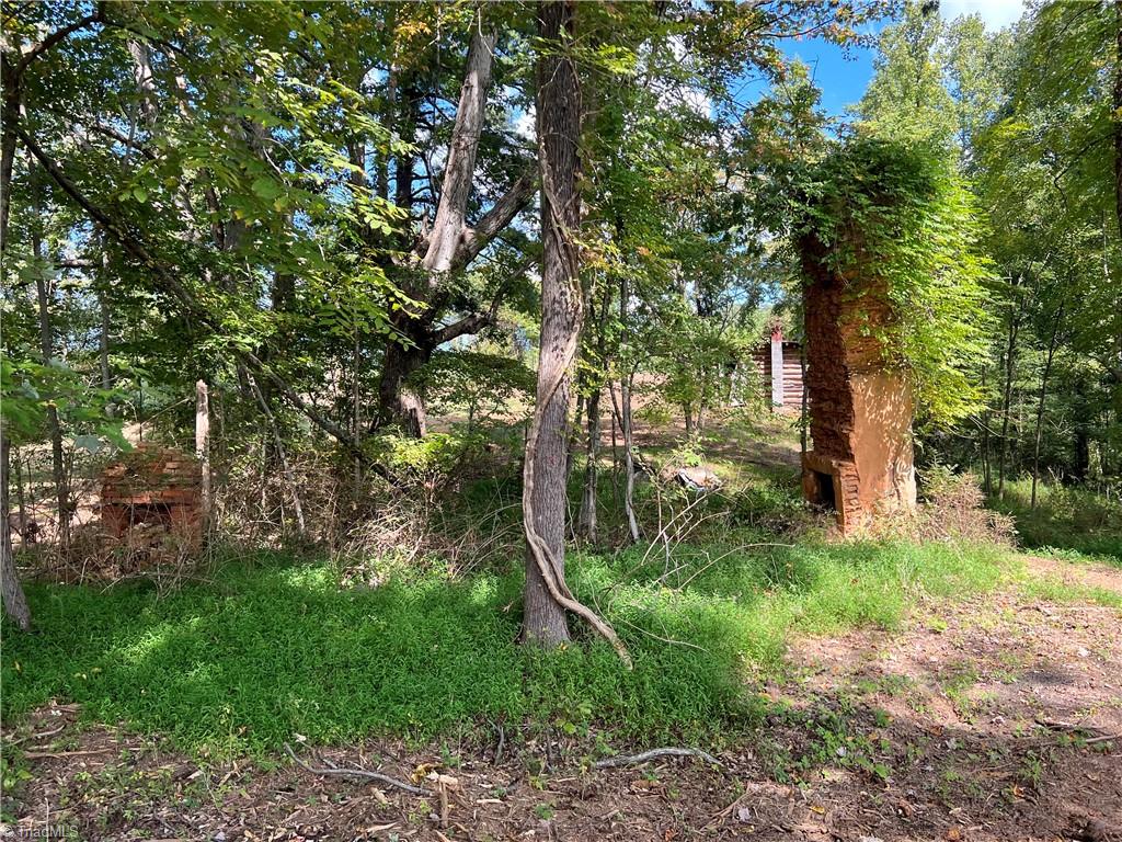 0 Pedigo Ridge Road, Unit 41 61 ACRES Claudville, VA 24076 - Photo 13 of 34 Gallery Image 13
