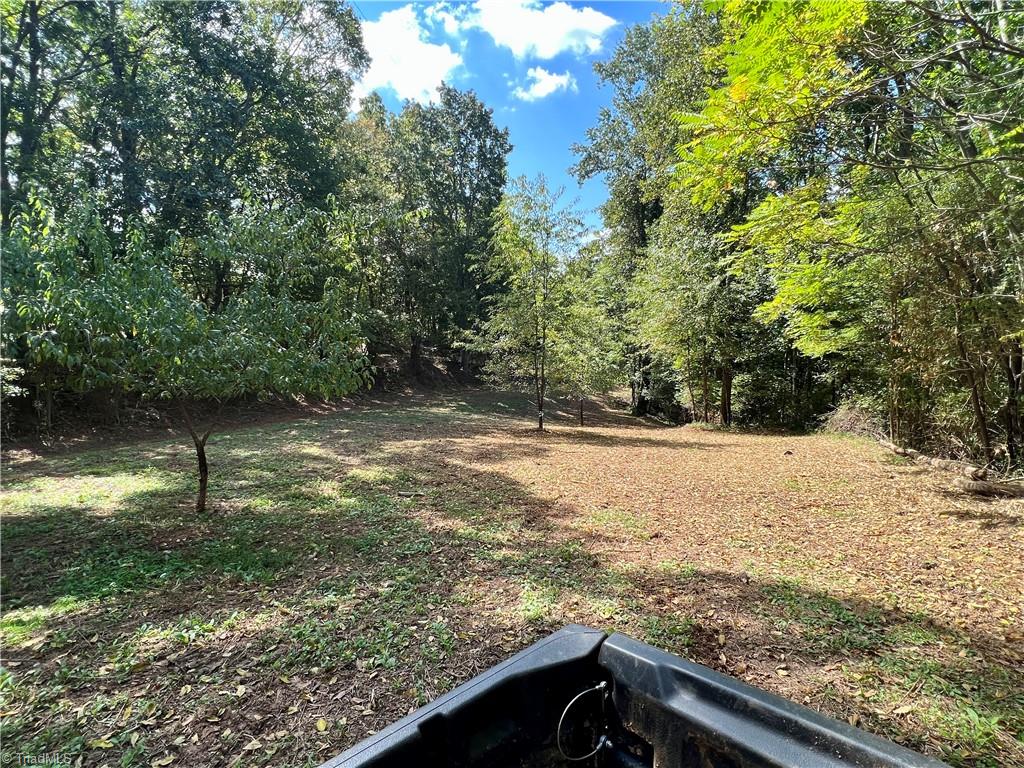 0 Pedigo Ridge Road, Unit 41 61 ACRES Claudville, VA 24076 - Photo 14 of 34 Gallery Image 14