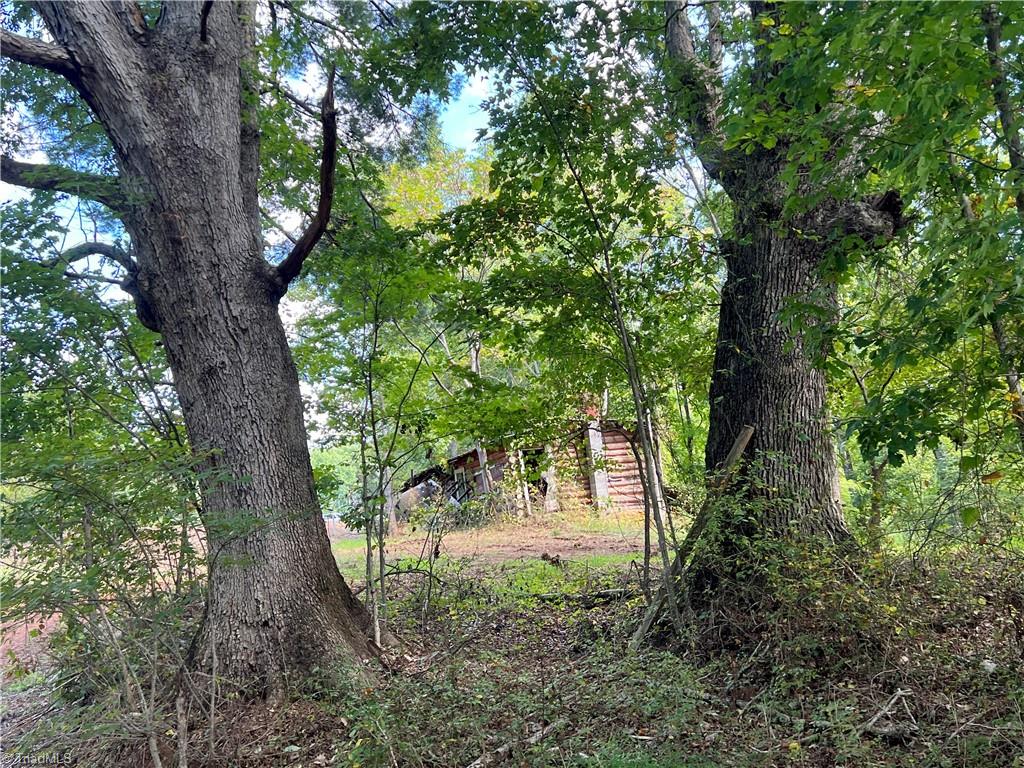 0 Pedigo Ridge Road, Unit 41 61 ACRES Claudville, VA 24076 - Photo 15 of 34 Gallery Image 15