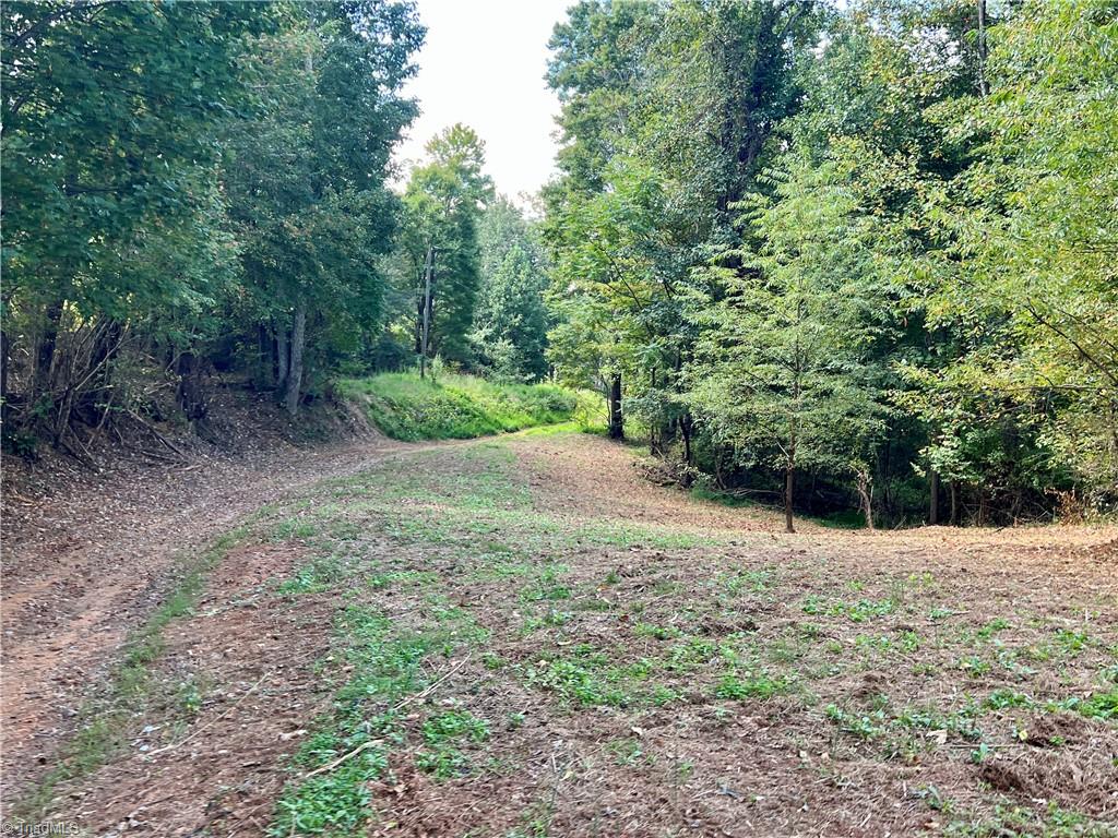 0 Pedigo Ridge Road, Unit 41 61 ACRES Claudville, VA 24076 - Photo 16 of 34 Gallery Image 16
