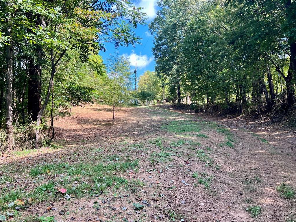 0 Pedigo Ridge Road, Unit 41 61 ACRES Claudville, VA 24076 - Photo 17 of 34 Gallery Image 17