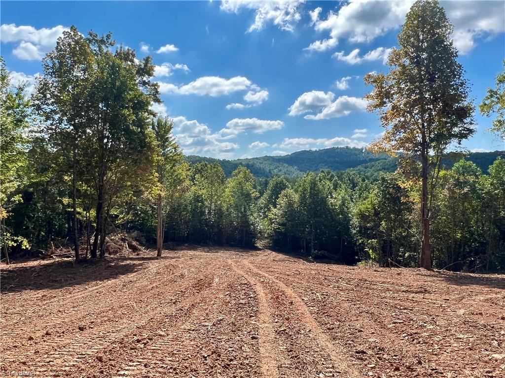 0 Pedigo Ridge Road, Unit 41 61 ACRES Claudville, VA 24076 - Photo 18 of 34 Gallery Image 18