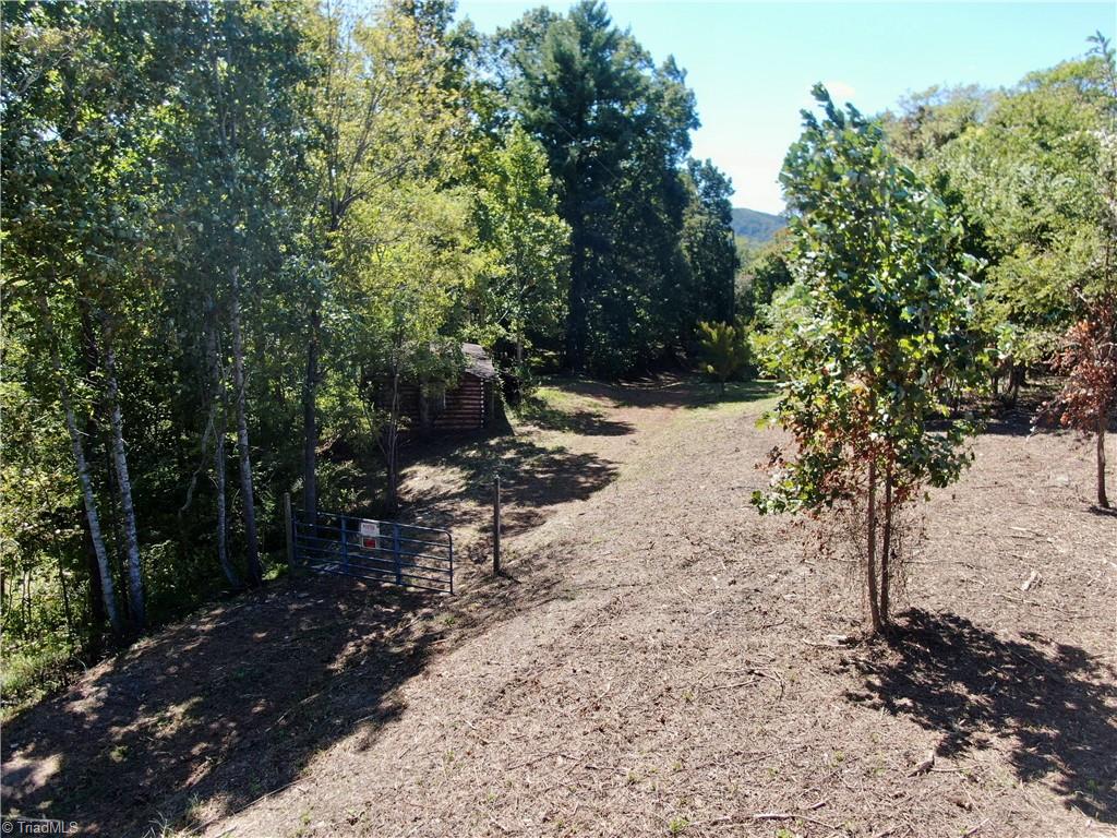 0 Pedigo Ridge Road, Unit 41 61 ACRES Claudville, VA 24076 - Photo 19 of 34 Gallery Image 19
