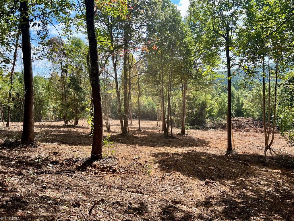 0 Pedigo Ridge Road, Unit 41 61 ACRES Claudville, VA 24076 - Photo 2 of 34 Gallery Image 2