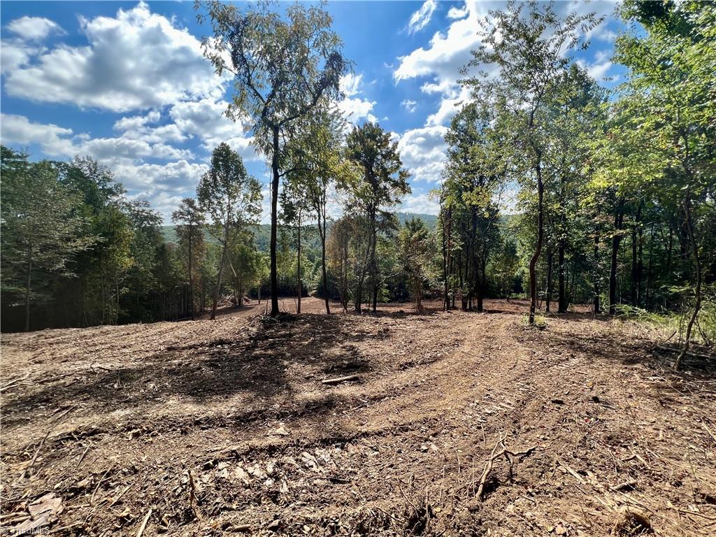 0 Pedigo Ridge Road, Unit 41 61 ACRES Claudville, VA 24076 - Photo 21 of 34 Gallery Image 21