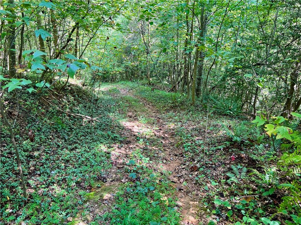 0 Pedigo Ridge Road, Unit 41 61 ACRES Claudville, VA 24076 - Photo 23 of 34 Gallery Image 23