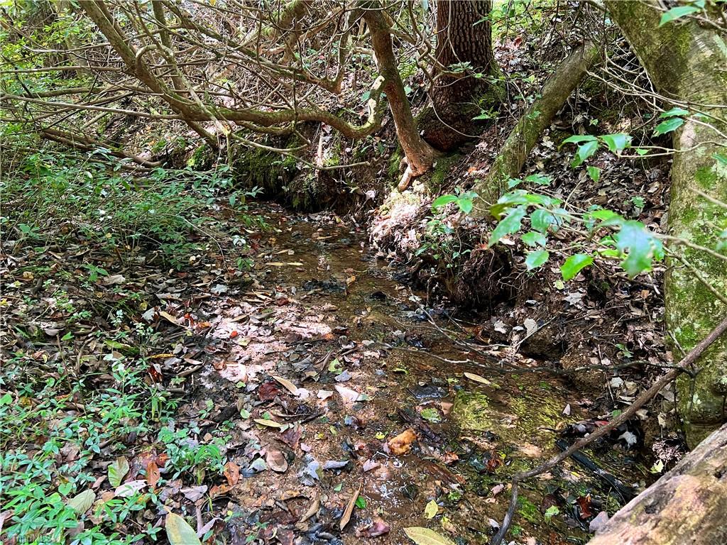 0 Pedigo Ridge Road, Unit 41 61 ACRES Claudville, VA 24076 - Photo 24 of 34 Gallery Image 24