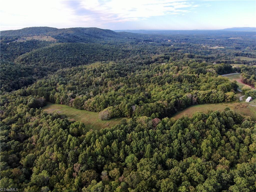 0 Pedigo Ridge Road, Unit 41 61 ACRES Claudville, VA 24076 - Photo 25 of 34 Gallery Image 25