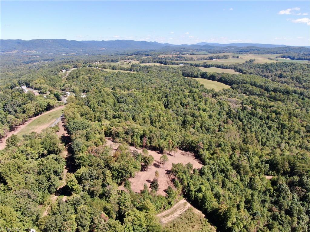 0 Pedigo Ridge Road, Unit 41 61 ACRES Claudville, VA 24076 - Photo 26 of 34 Gallery Image 26