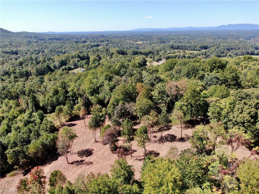 0 Pedigo Ridge Road, Unit 41 61 ACRES Claudville, VA 24076 - Photo 27 of 34 Gallery Image 27