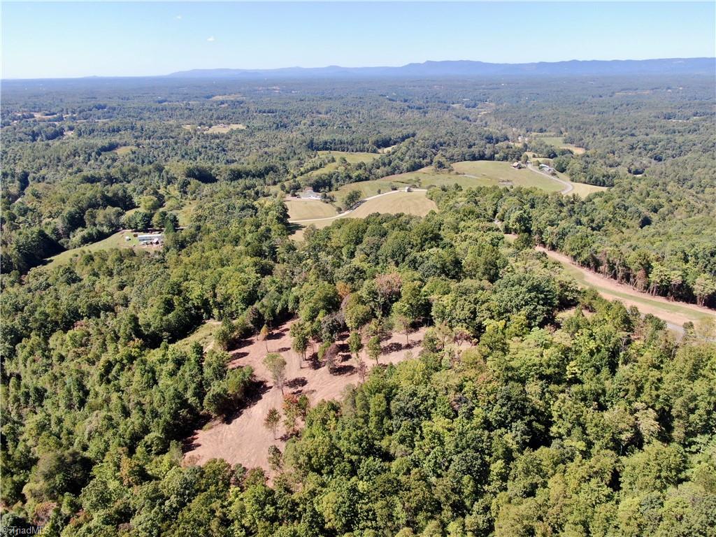 0 Pedigo Ridge Road, Unit 41 61 ACRES Claudville, VA 24076 - Photo 29 of 34 Gallery Image 29