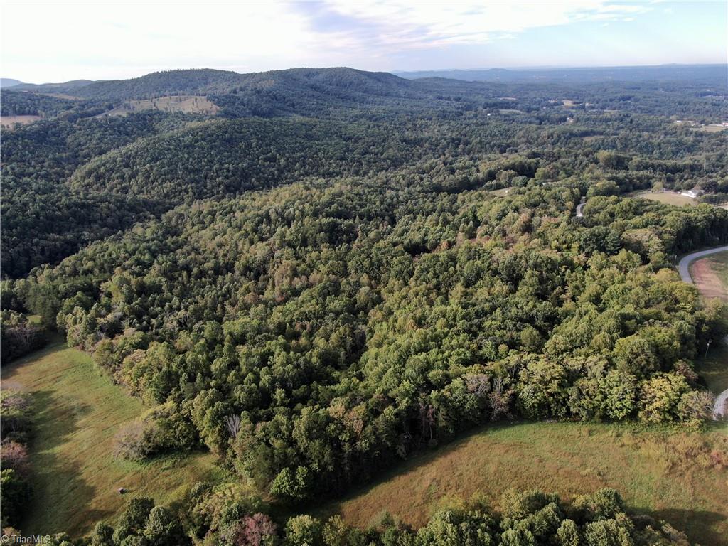 0 Pedigo Ridge Road, Unit 41 61 ACRES Claudville, VA 24076 - Photo 30 of 34 Gallery Image 30