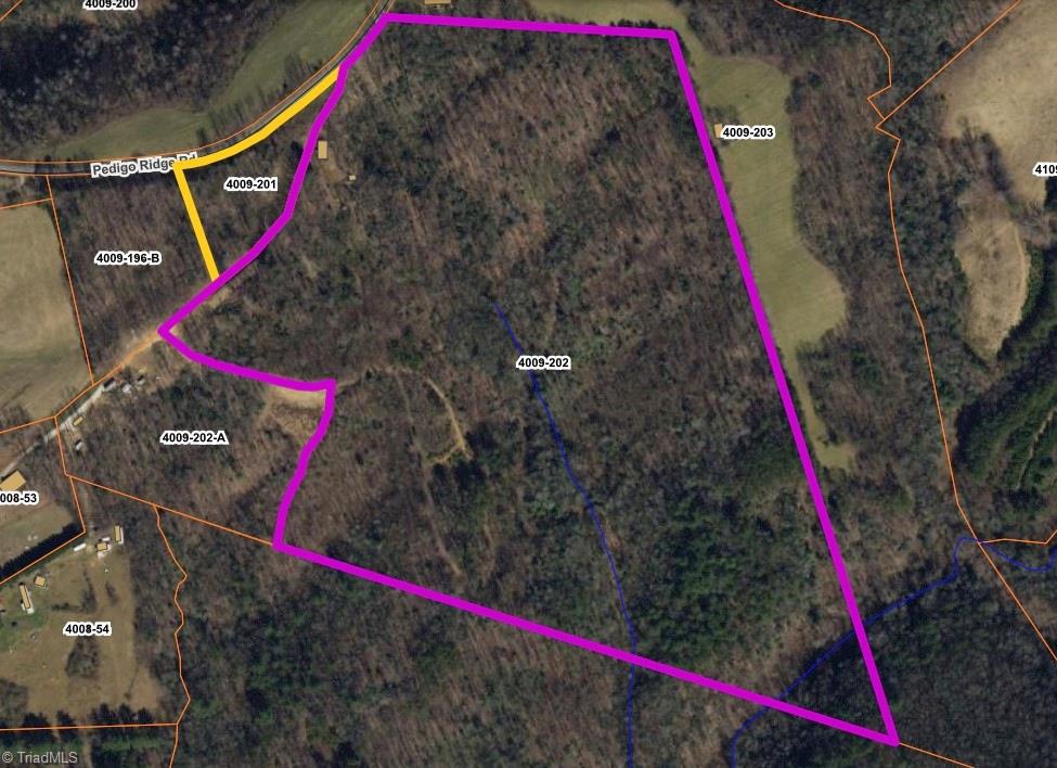 0 Pedigo Ridge Road, Unit 41 61 ACRES Claudville, VA 24076 - Photo 33 of 34 Gallery Image 33