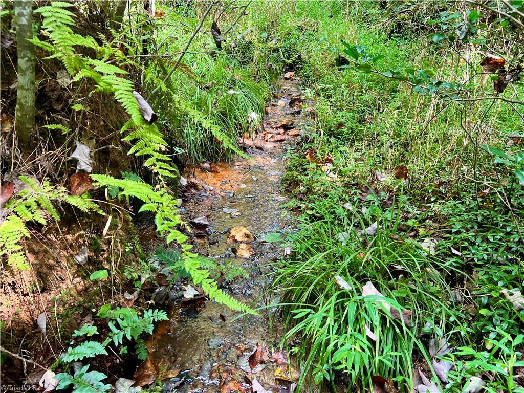 0 Pedigo Ridge Road, Unit 41 61 ACRES Claudville, VA 24076 - Photo 6 of 34 Gallery Image 6