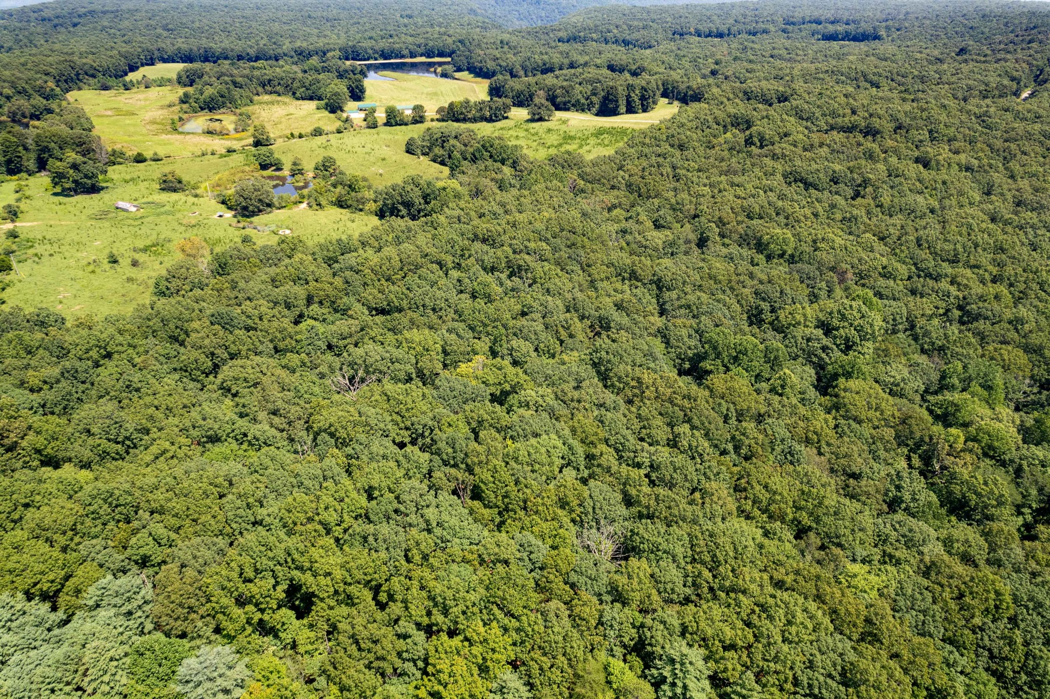 0 Stage Coach Road Sewanee, TN 37375 - Photo 11 of 15