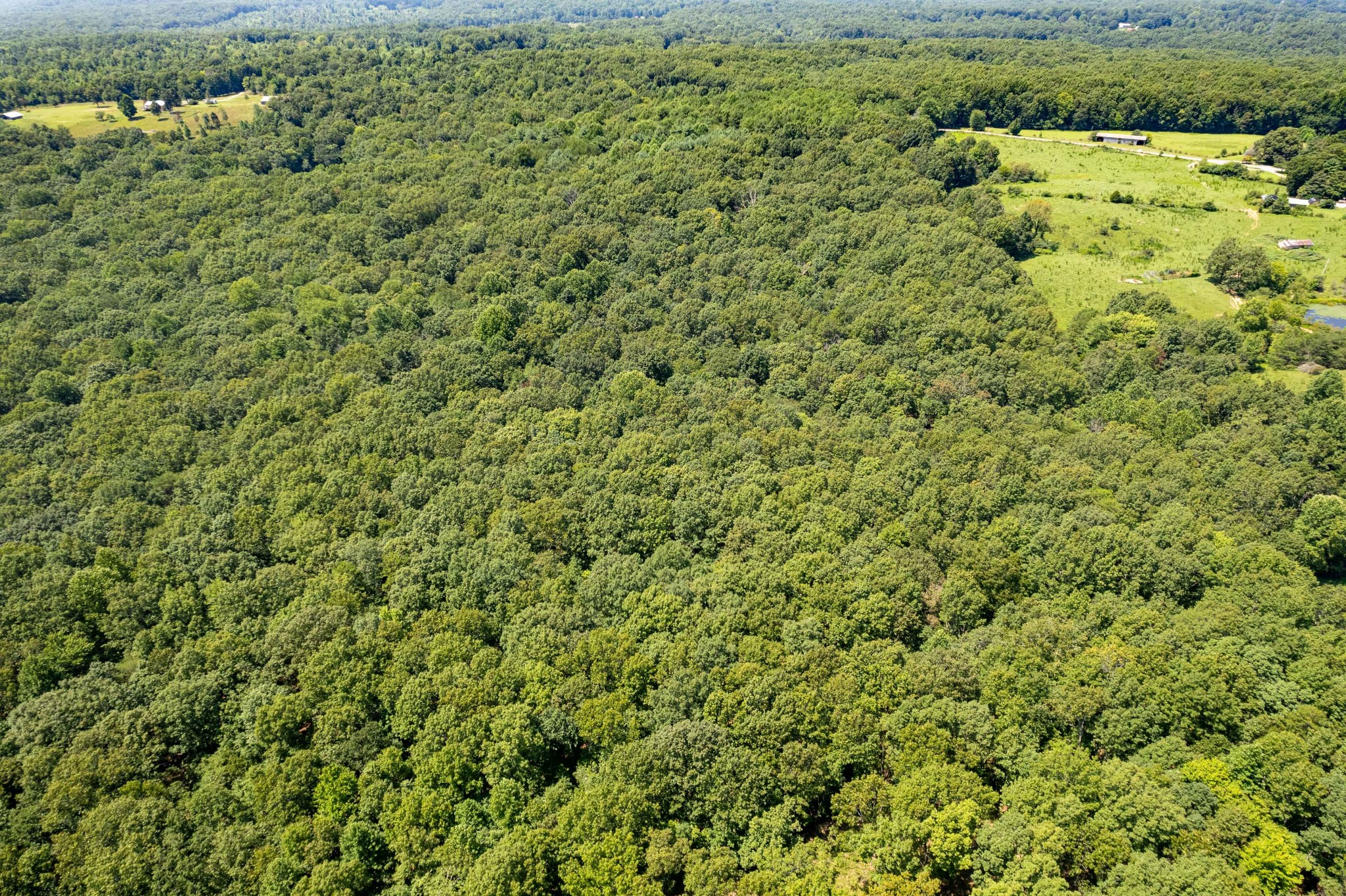 0 Stage Coach Road Sewanee, TN 37375 - Photo 12 of 15