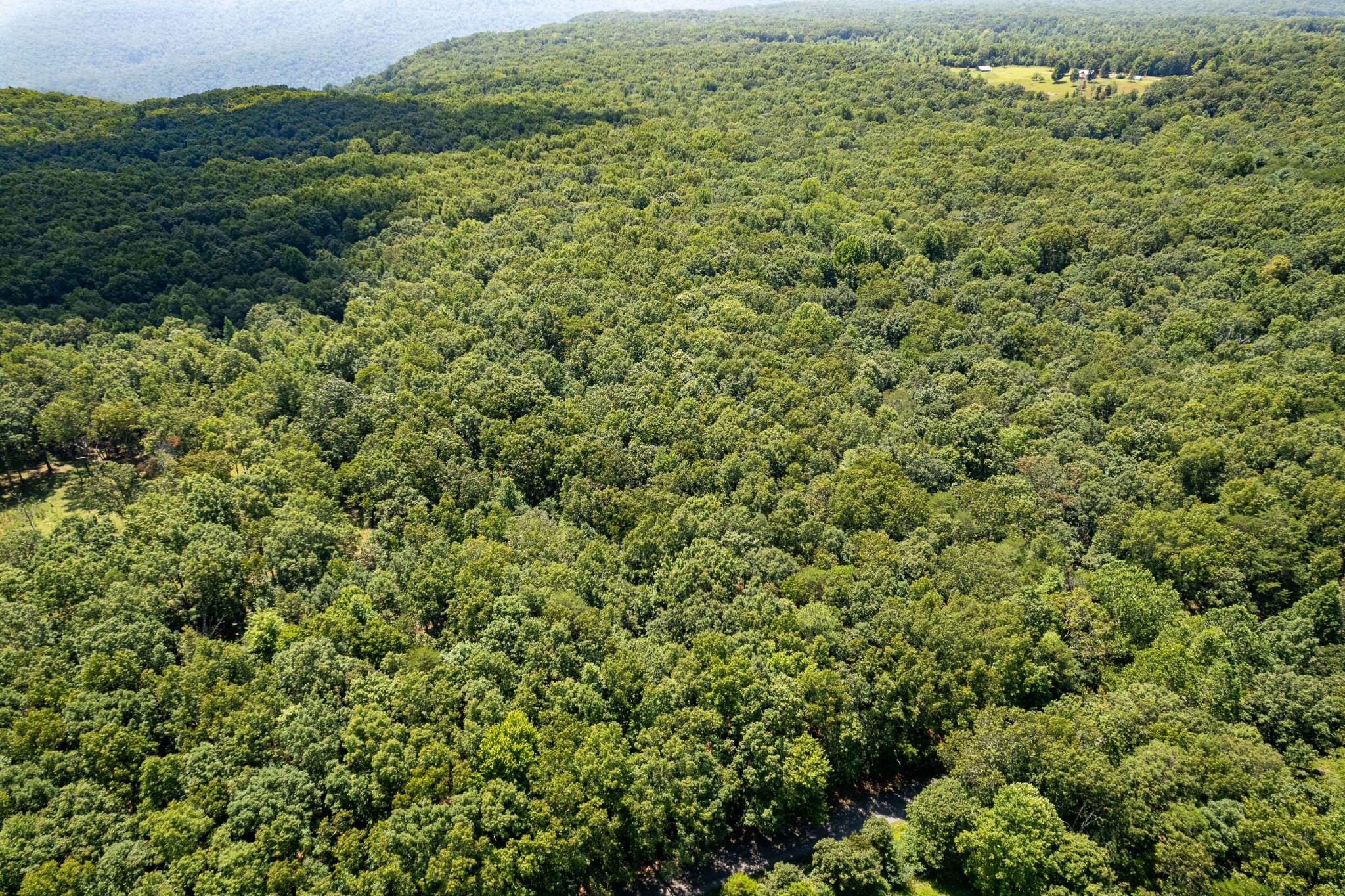0 Stage Coach Road Sewanee, TN 37375 - Photo 14 of 15