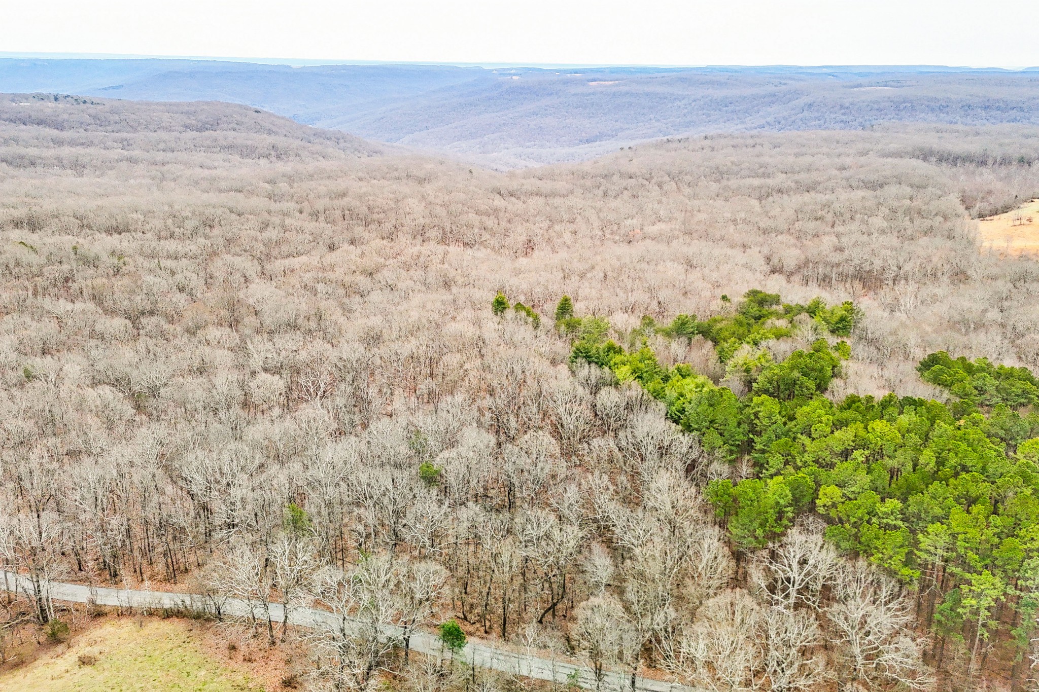 0 Stage Coach Road Sewanee, TN 37375 - Photo 3 of 15