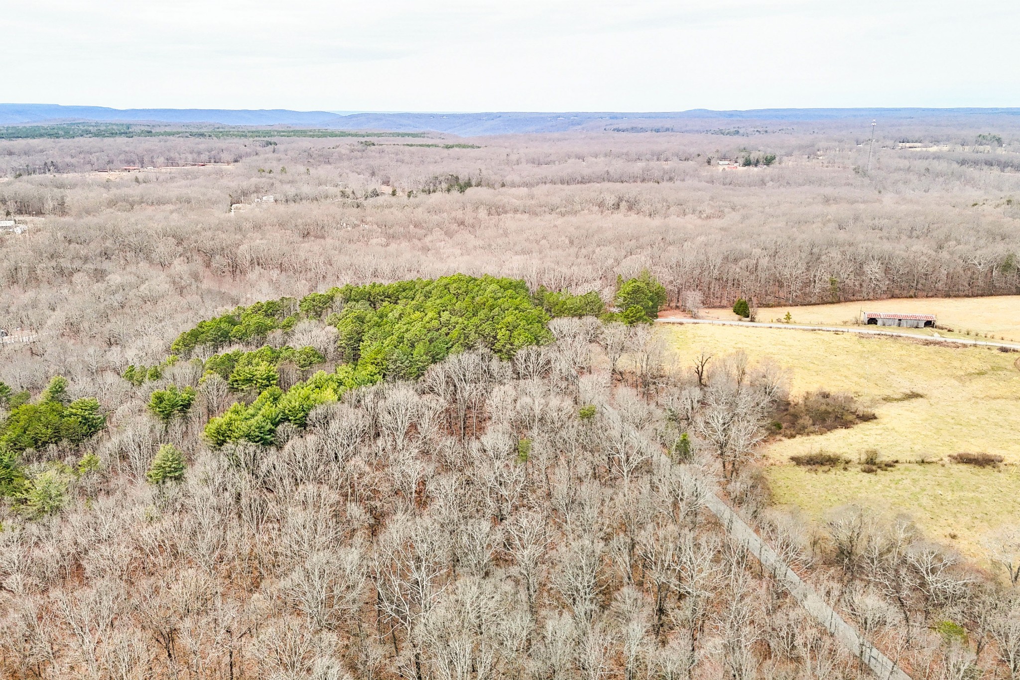 0 Stage Coach Road Sewanee, TN 37375 - Photo 4 of 15