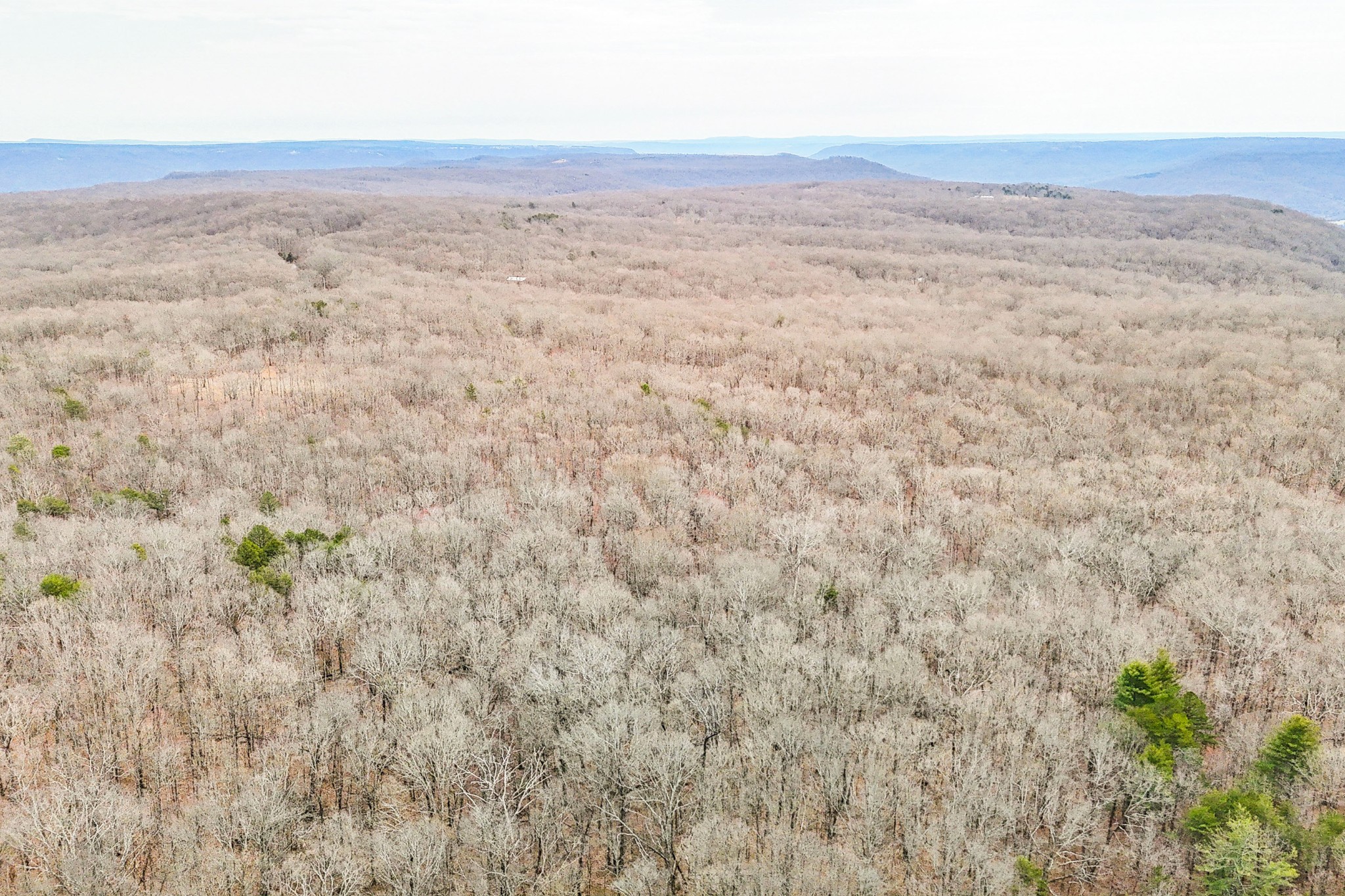 0 Stage Coach Road Sewanee, TN 37375 - Photo 7 of 15