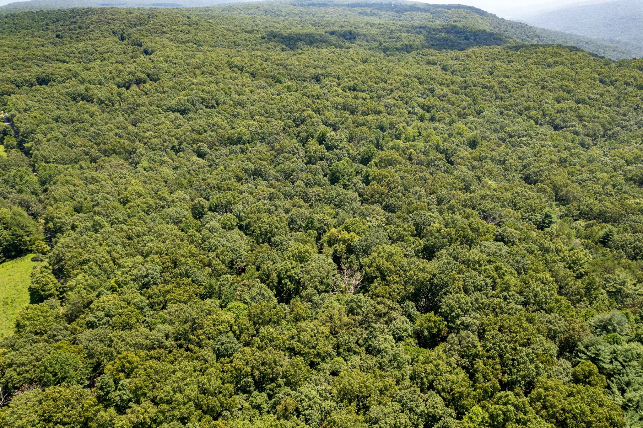 0 Stage Coach Road Sewanee, TN 37375 - Photo 10 of 15