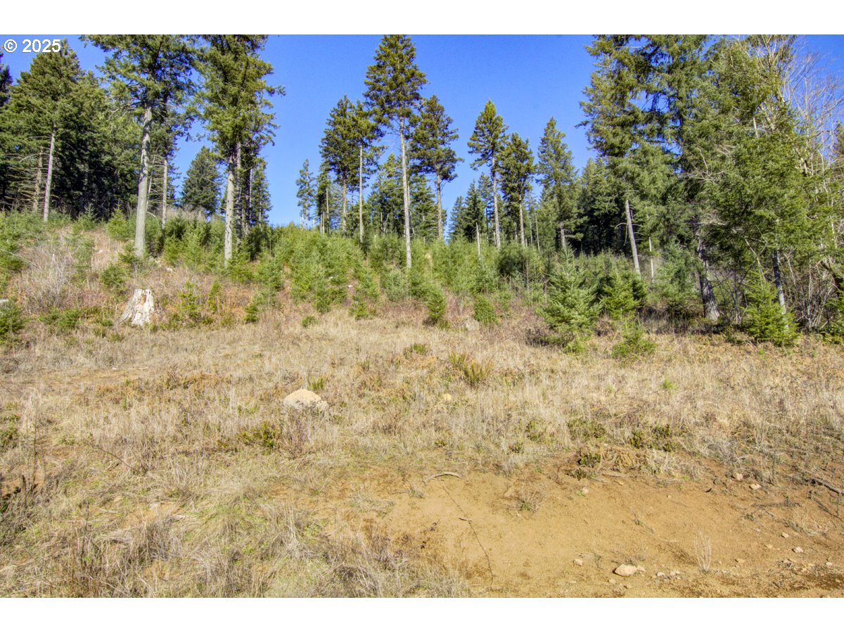 Northeast Hancock Road, Unit 1 Camas, WA 98607 - Photo 12 of 12