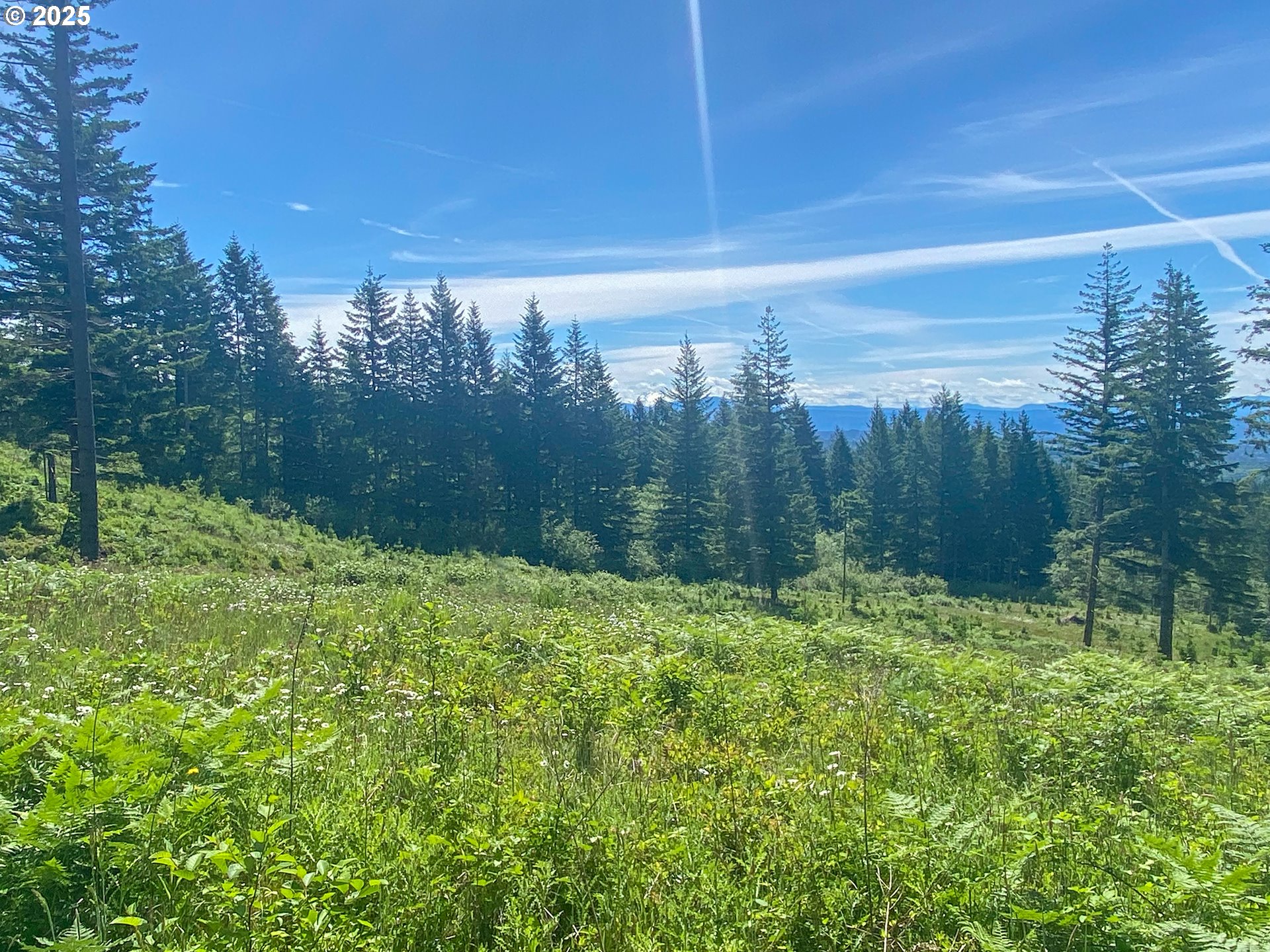 Northeast Hancock Road, Unit 1 Camas, WA 98607 - Photo 2 of 12