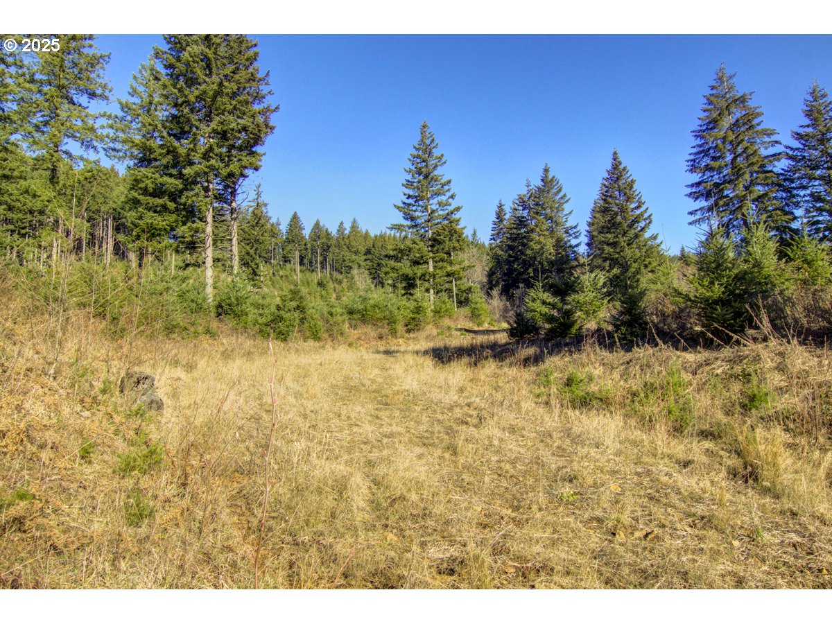 Northeast Hancock Road, Unit 1 Camas, WA 98607 - Photo 5 of 12