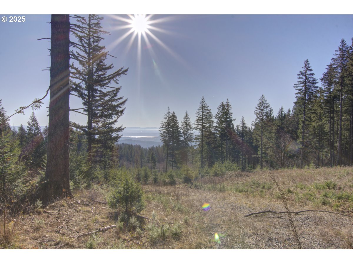 Northeast Hancock Road, Unit 1 Camas, WA 98607 - Photo 9 of 12