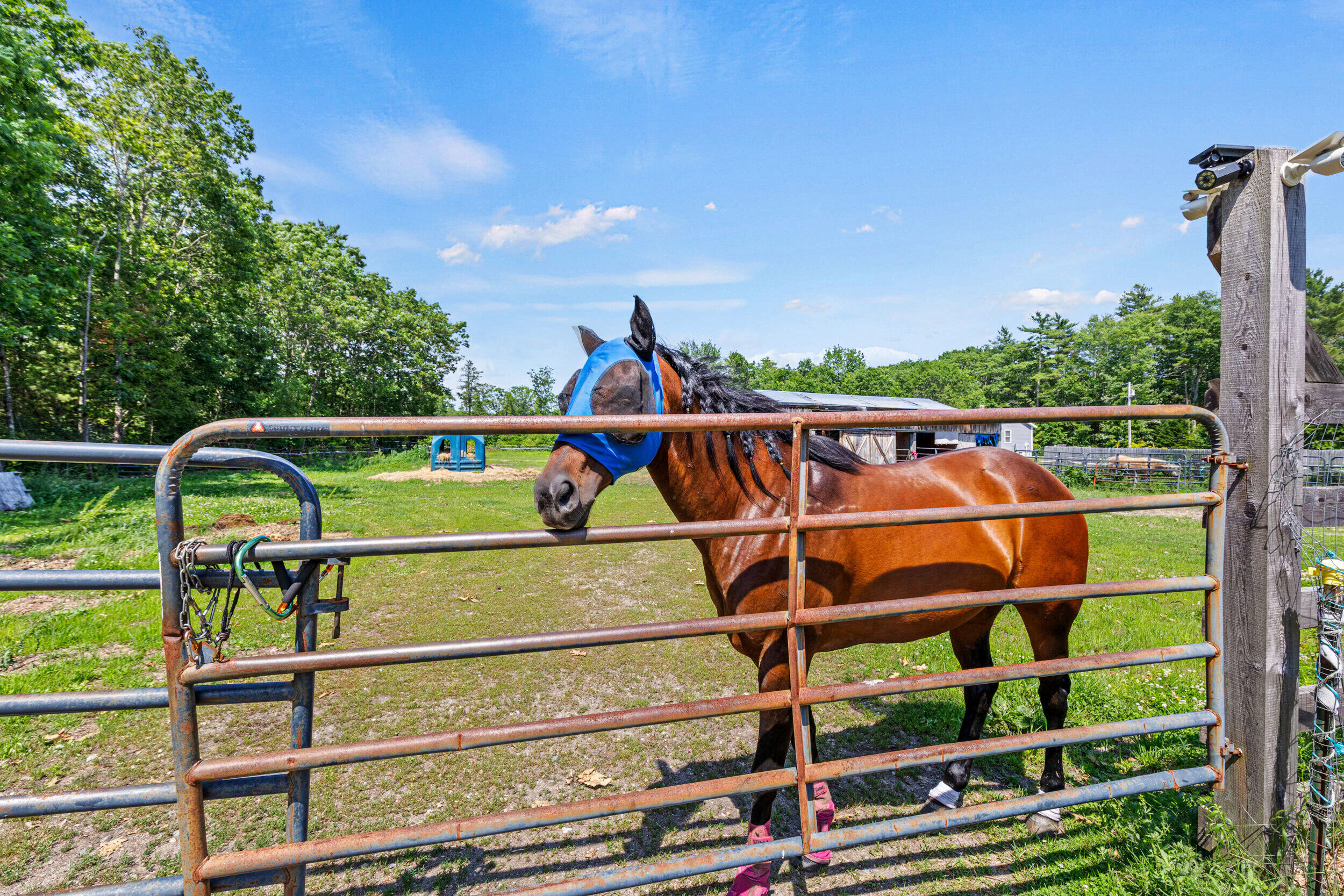 295 Buxton Road Saco, ME 04072 - Photo 20 of 50 295 buxton rd, saco_06