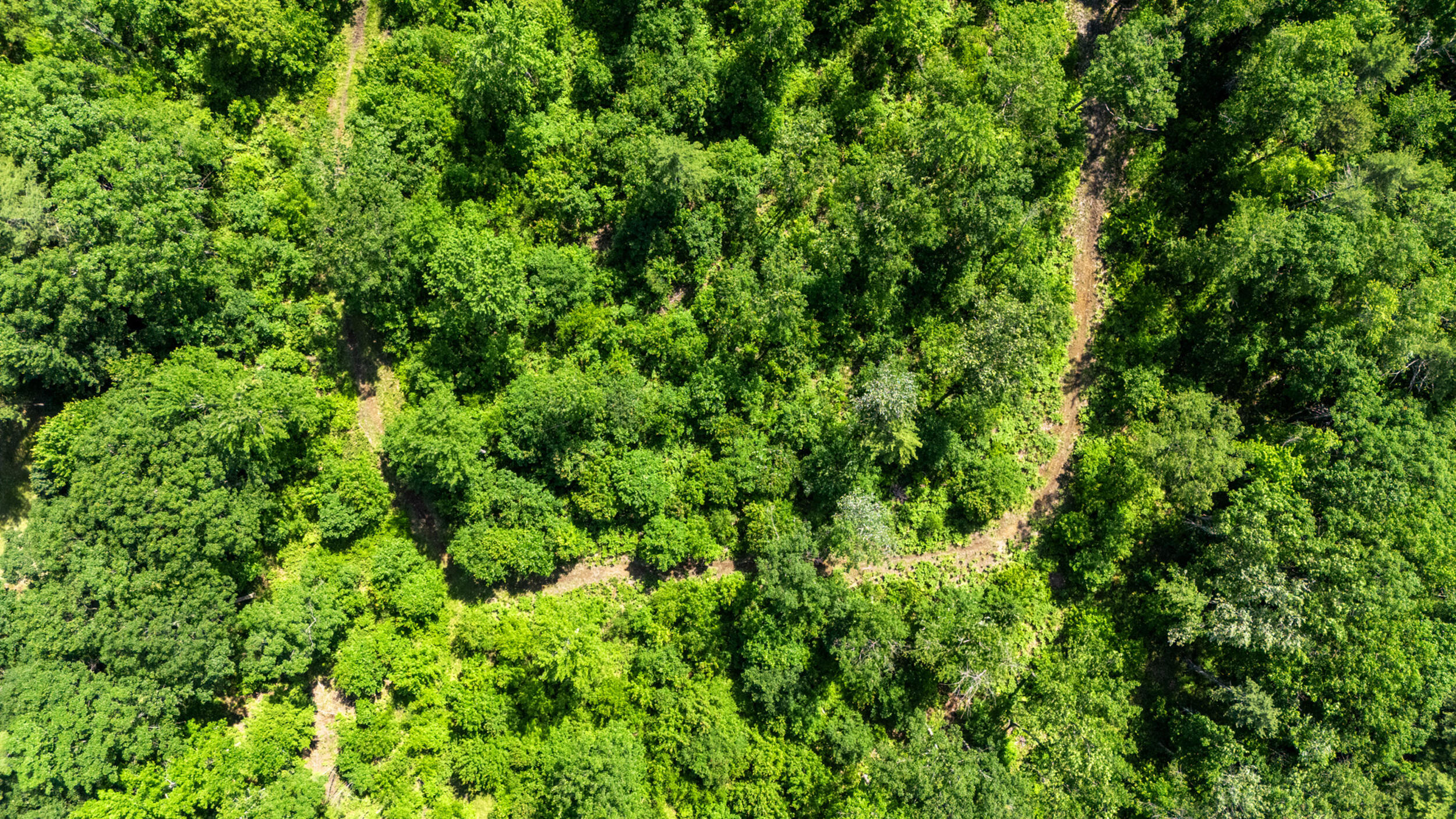 295 Buxton Road Saco, ME 04072 - Photo 42 of 50 295 buxton rd, saco drone-10