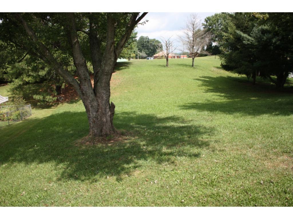 117 Oak Timbers Road Telford, TN 37690 - Photo 17 of 32 roomy backyard