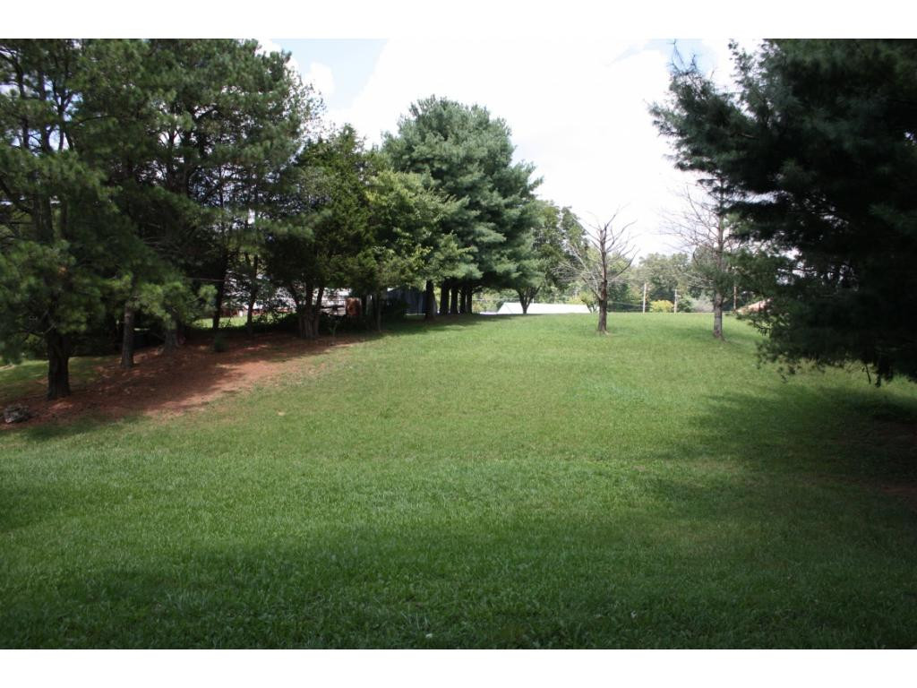 117 Oak Timbers Road Telford, TN 37690 - Photo 3 of 32 Roomy back yard