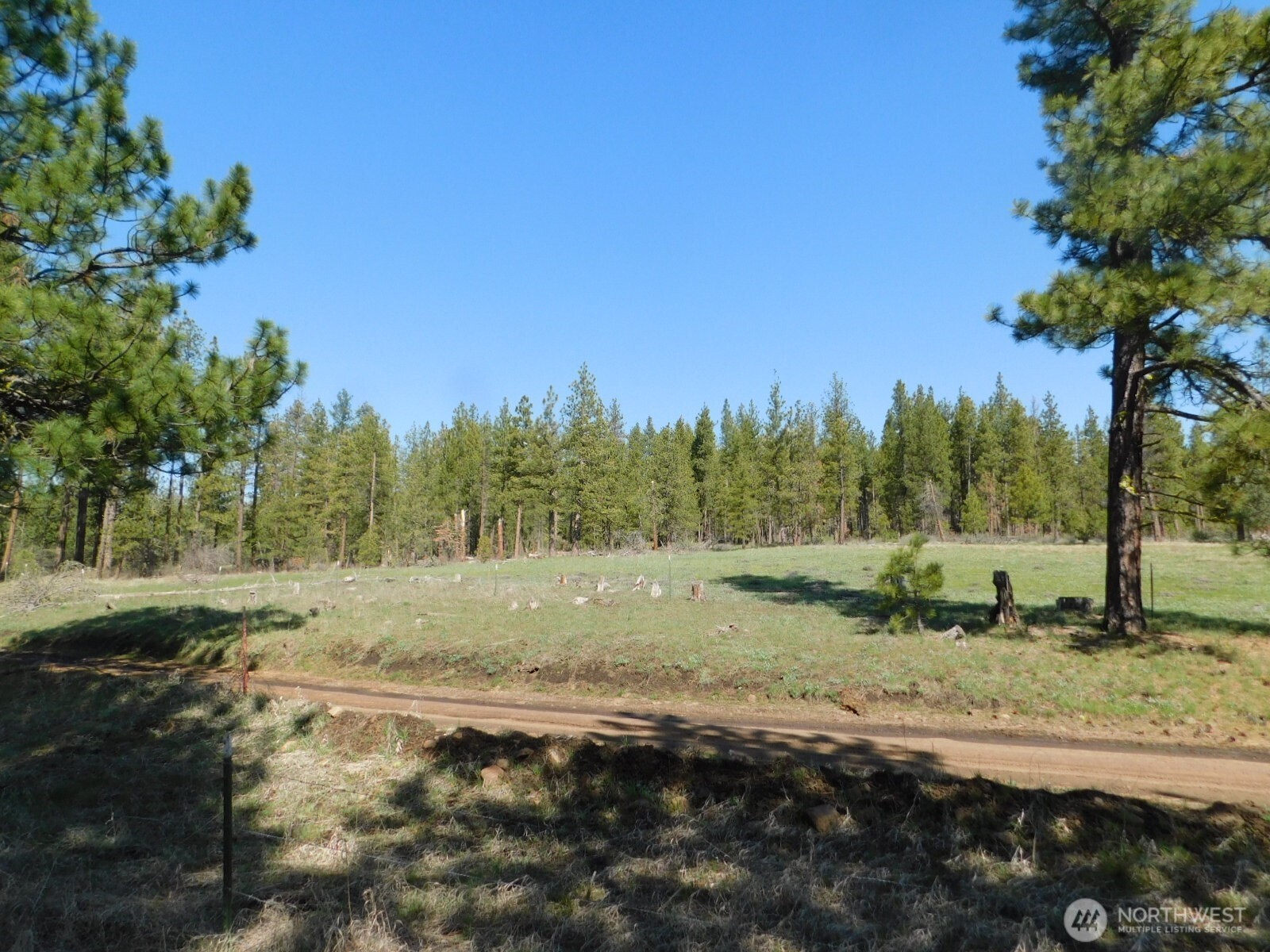 627 Pine Creek Road Bickleton, WA 99322 - Photo 2 of 14 Gallery Image 2