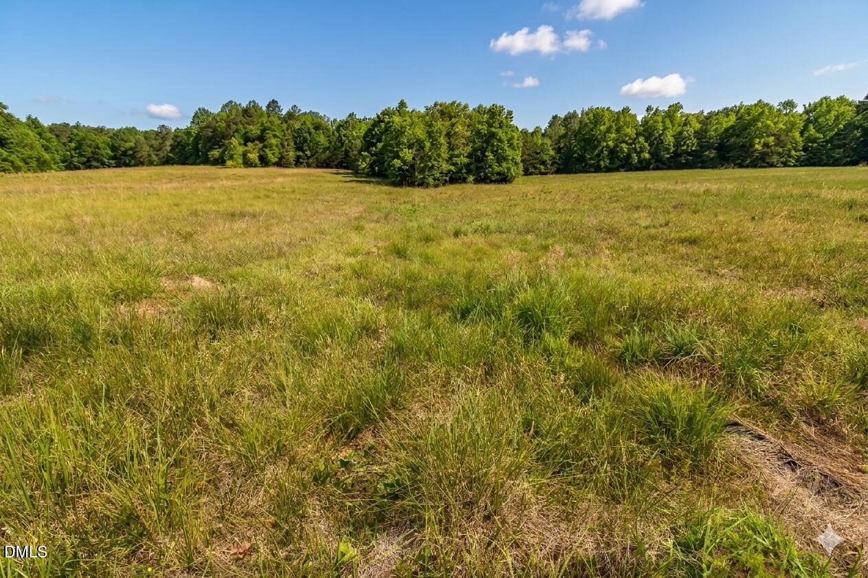 1 George Miles Road New Hill, NC 27562 - Photo 3 of 10