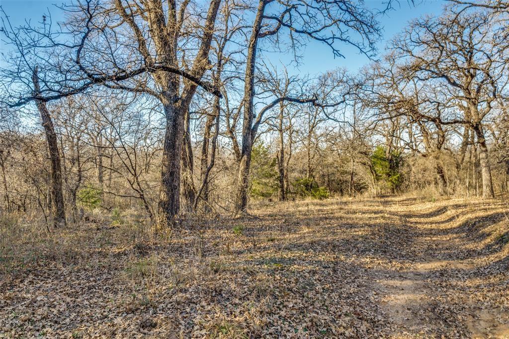 319 County Road 4868 Azle, TX 76020 - Photo 13 of 22 The back 2 acres of the property are undeveloped and is dense with trees