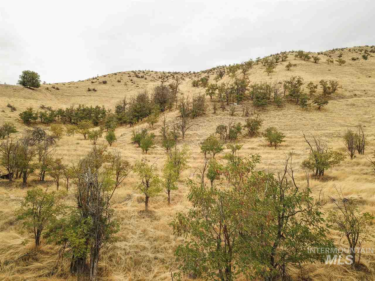 5432 West Hill Road Boise, ID 83703 - Photo 12 of 19