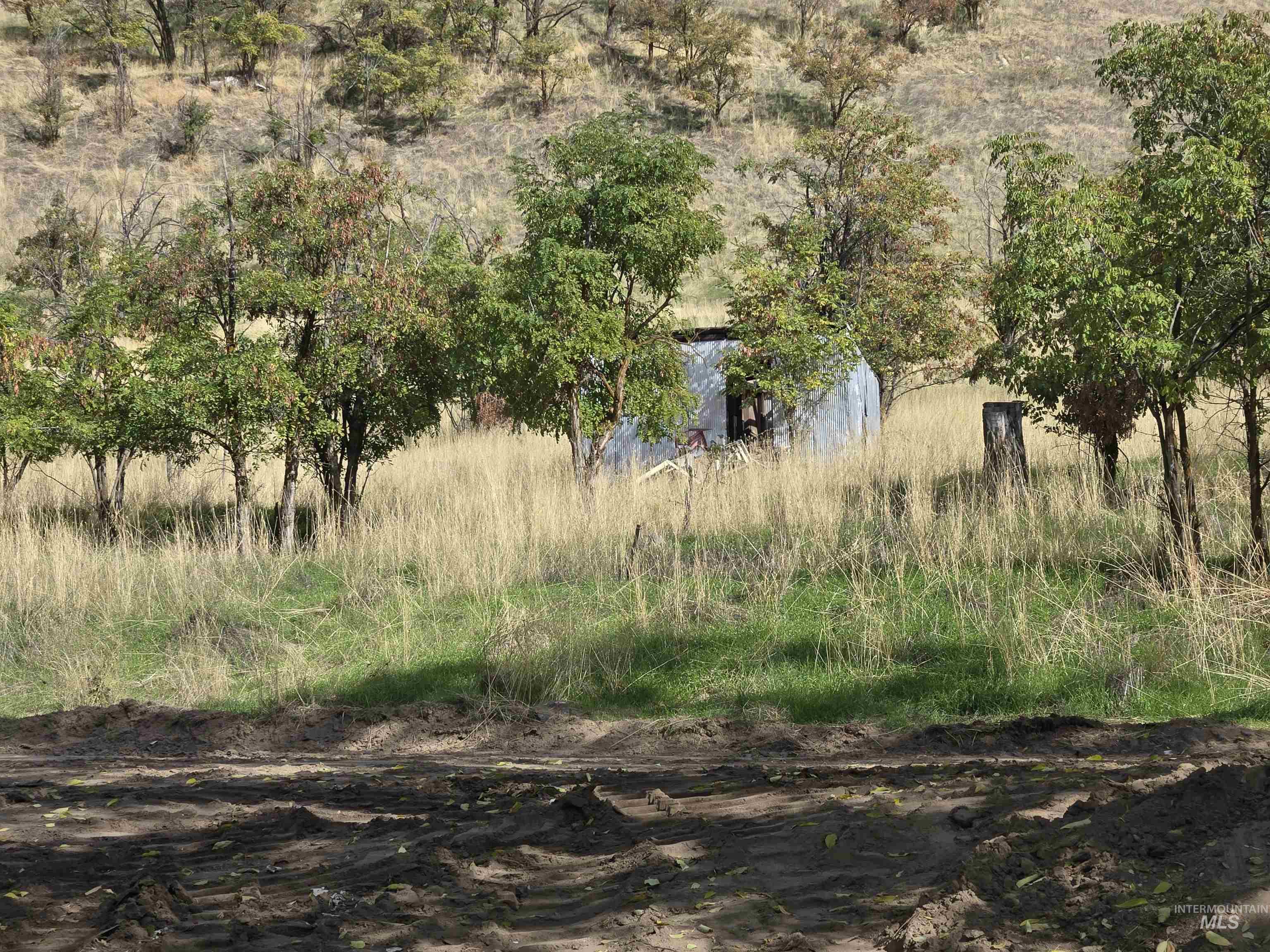 5432 West Hill Road Boise, ID 83703 - Photo 3 of 19 View of local wilderness