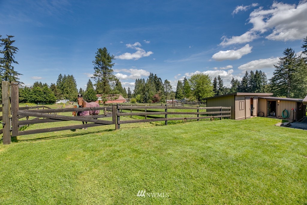 4903 169th Street Southeast Bothell, WA 98012 - Photo 28 of 32 a view of a park with large trees