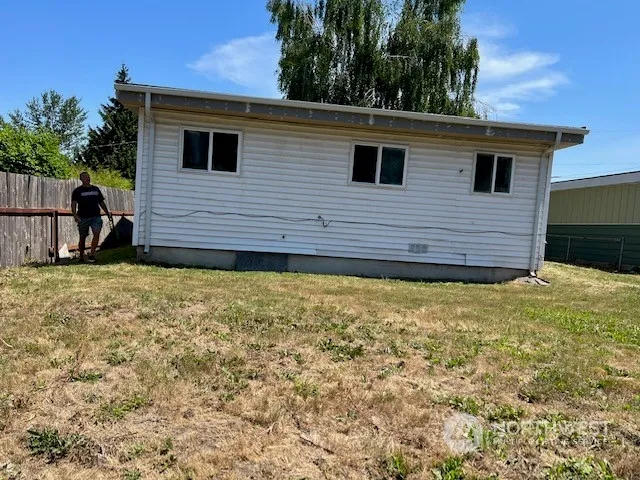 a view of a backyard with plants and large tree
