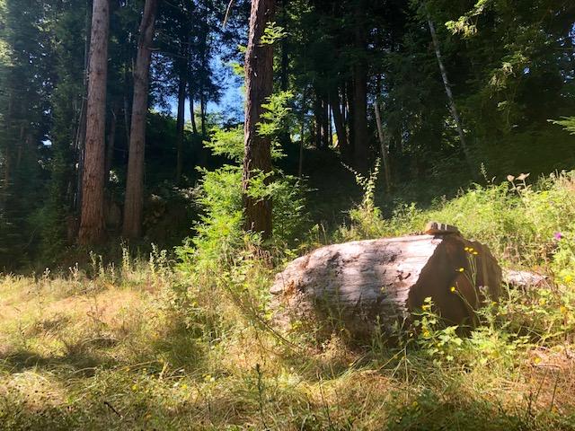 9.25-acre Eggert Road Eureka, CA 95503 - Photo 23 of 29