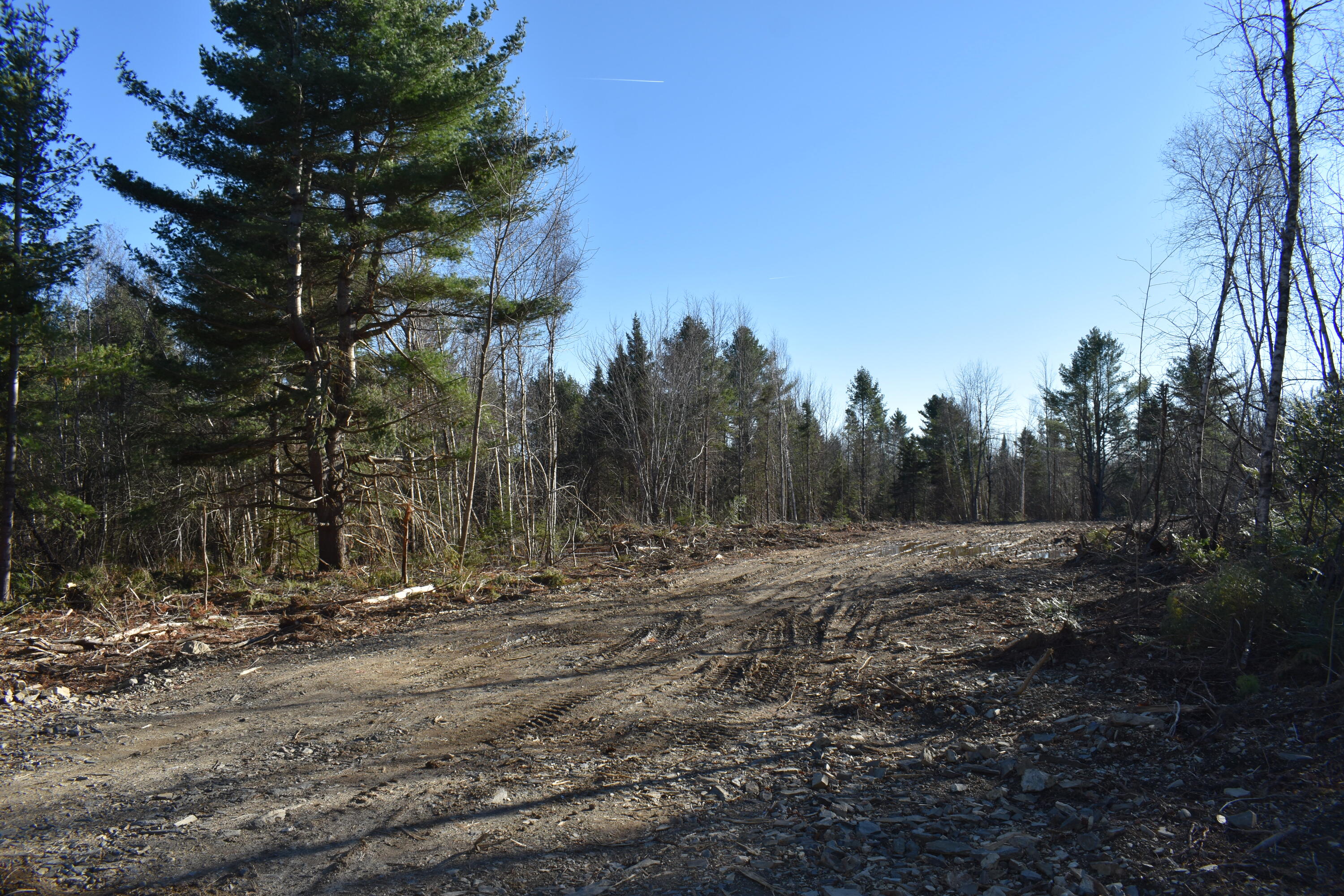 T7 R3 Nbpp Me 04487 Road Springfield, ME 04487 - Photo 13 of 13 DSC_0186