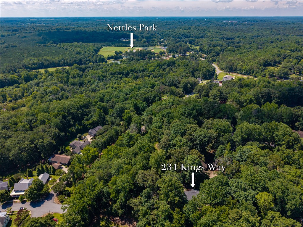 231 Kings Way Clemson, SC 29631 - Photo 40 of 43