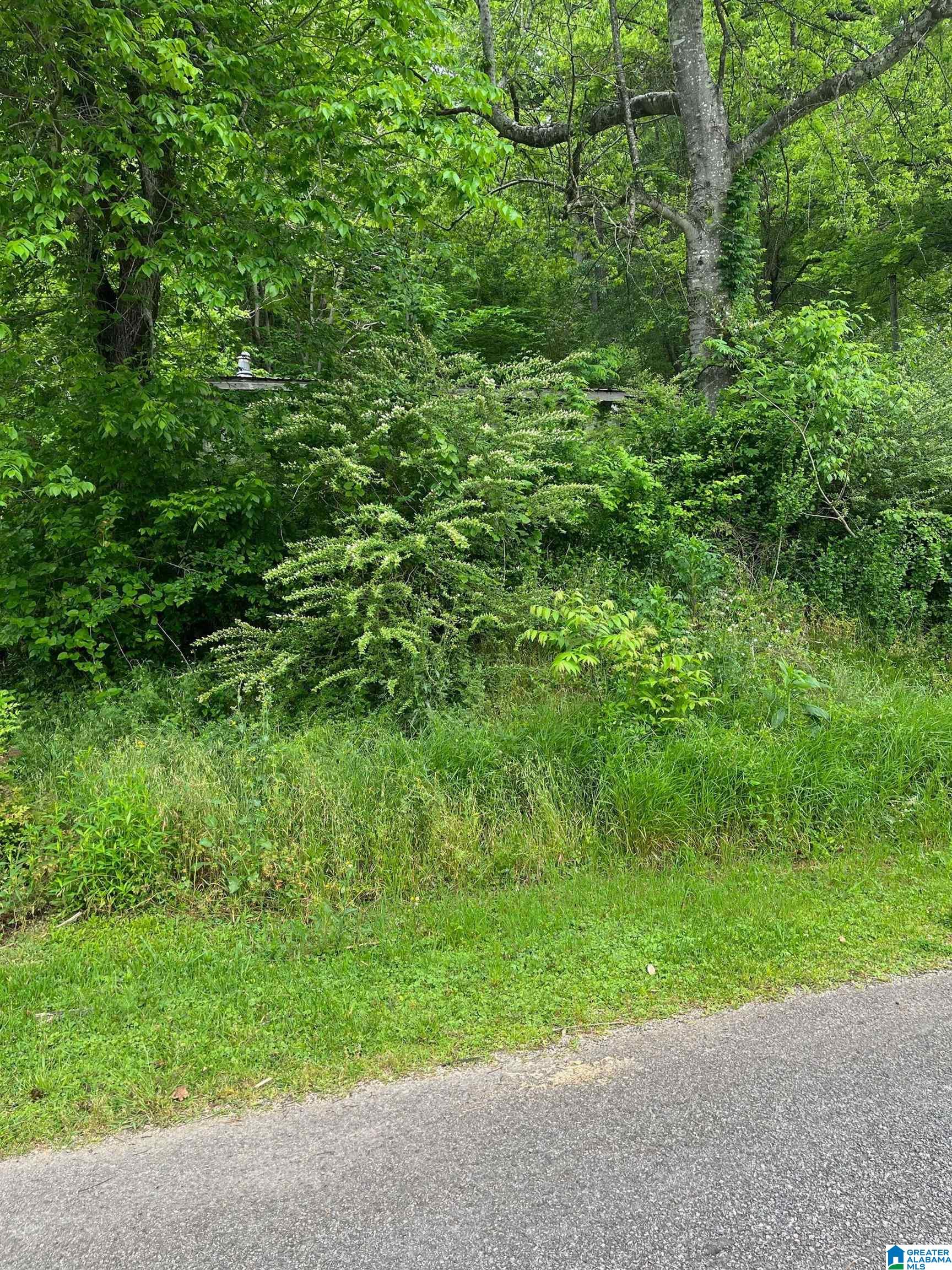 649 Cherokee Drive, Unit 4 Ragland, AL 35131 - Photo 2 of 4