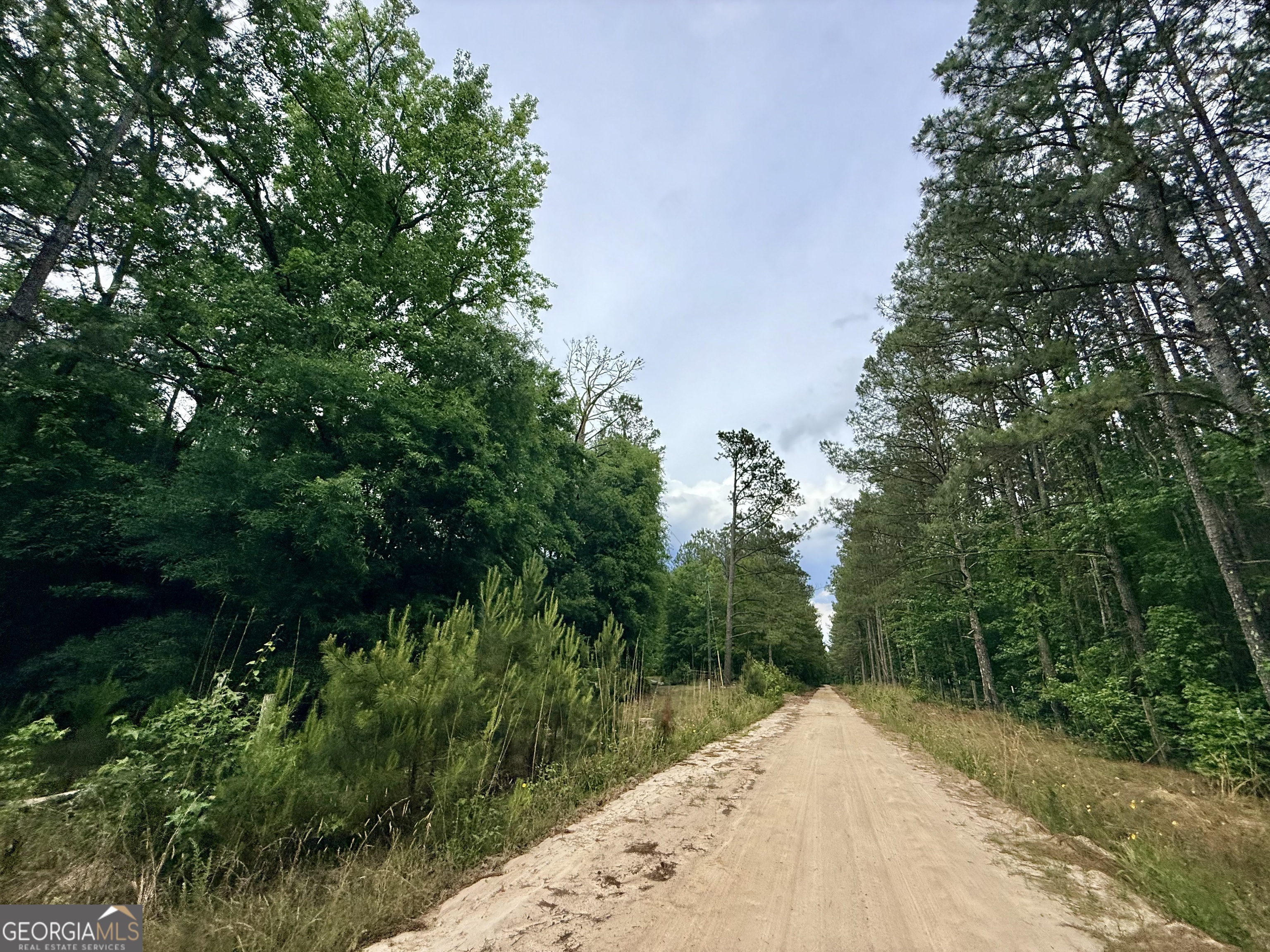 715 Fulsome Creek Road Sparta, GA 31087 - Photo 8 of 117
