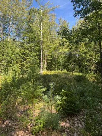 $65,000 | 1730 Main Street, Harrington, ME 04643