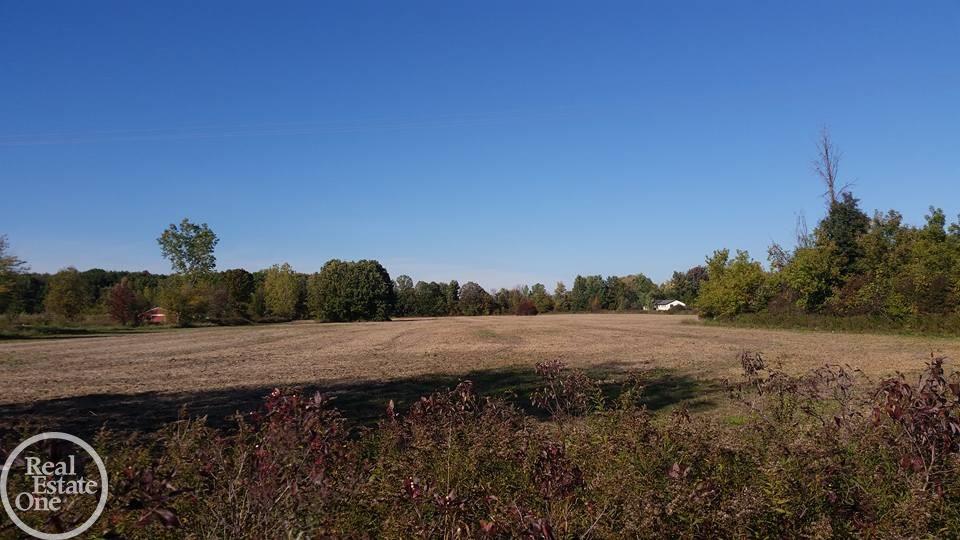 Vac Sparling Goodells, MI 48027 - Photo 3 of 3
