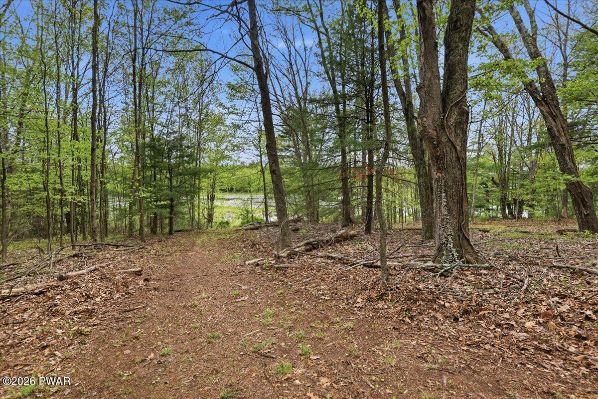 103 Forever Green Road Lakeville, PA 18438 - Photo 49 of 179