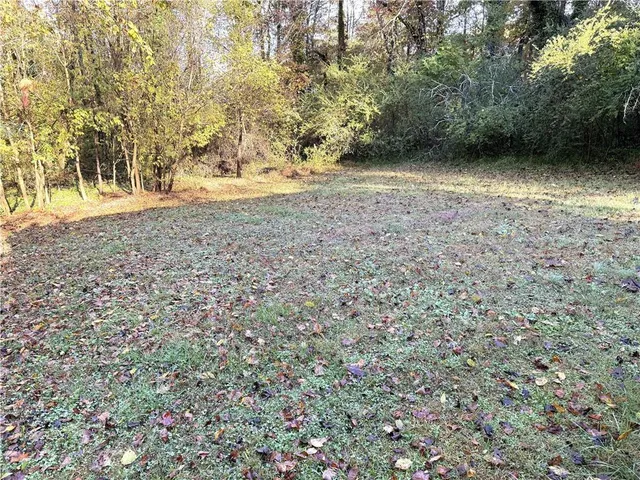 a view of a yard with a trees